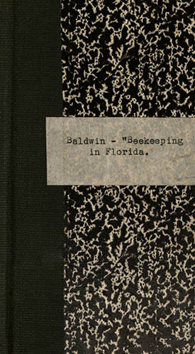 Beekeeping in Florida