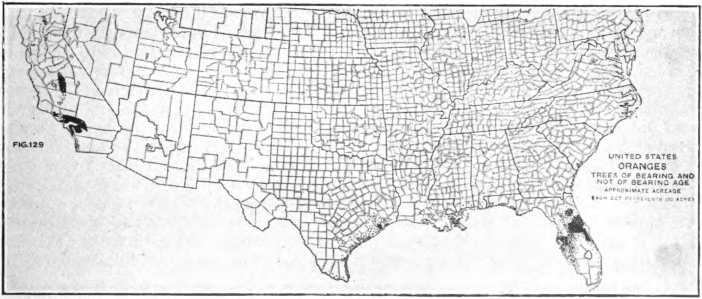 Fig. 90. — Acreage of citrus fruits in the United States. California has nearly two-thirds of the trees and produced in 1909 about three-fourths of the crop. (After Baker. Geog. World’s Agr.)