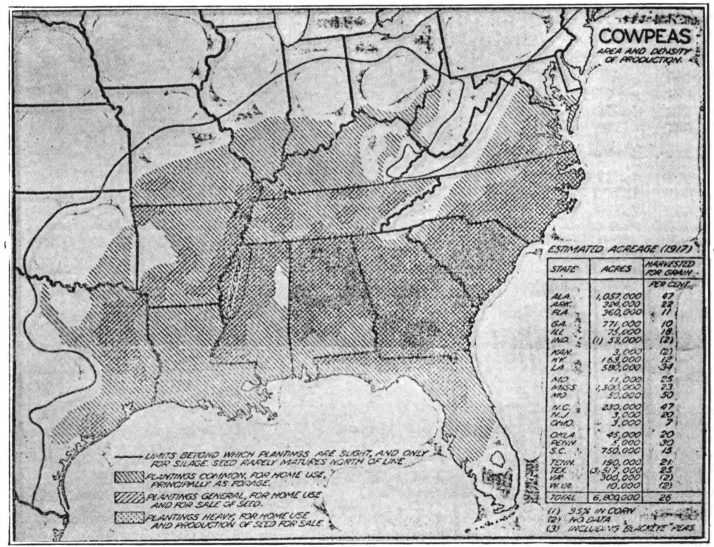 Fig. 52. — Acreage of cowpeas in the United States. In 1917 there were 6,800,000 acres. Prepared by the United States Department of Agriculture.