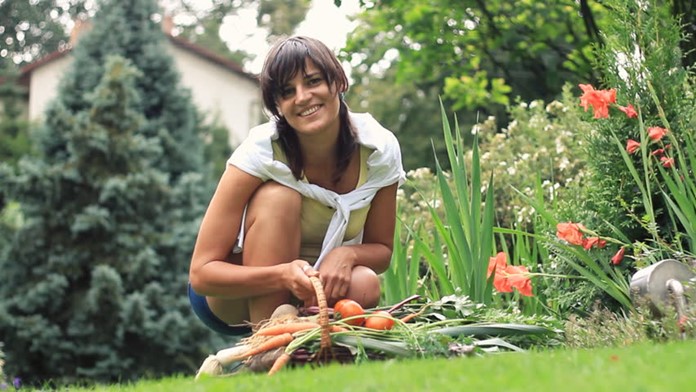 How to make bees the buzz of your garden