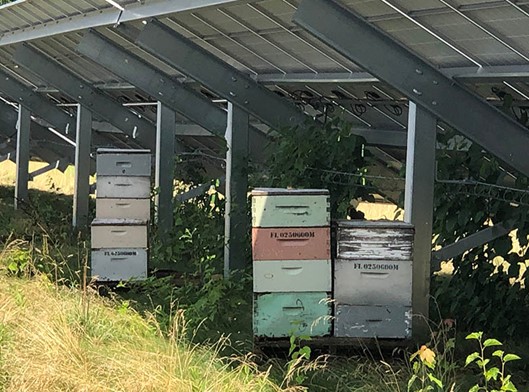Photo of beeboxes at Elizabethtown College from Community Energy, Inc.